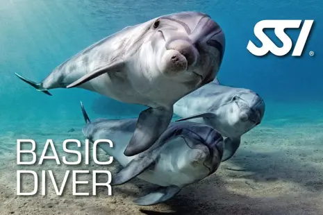 Advanced Open Water Diver
